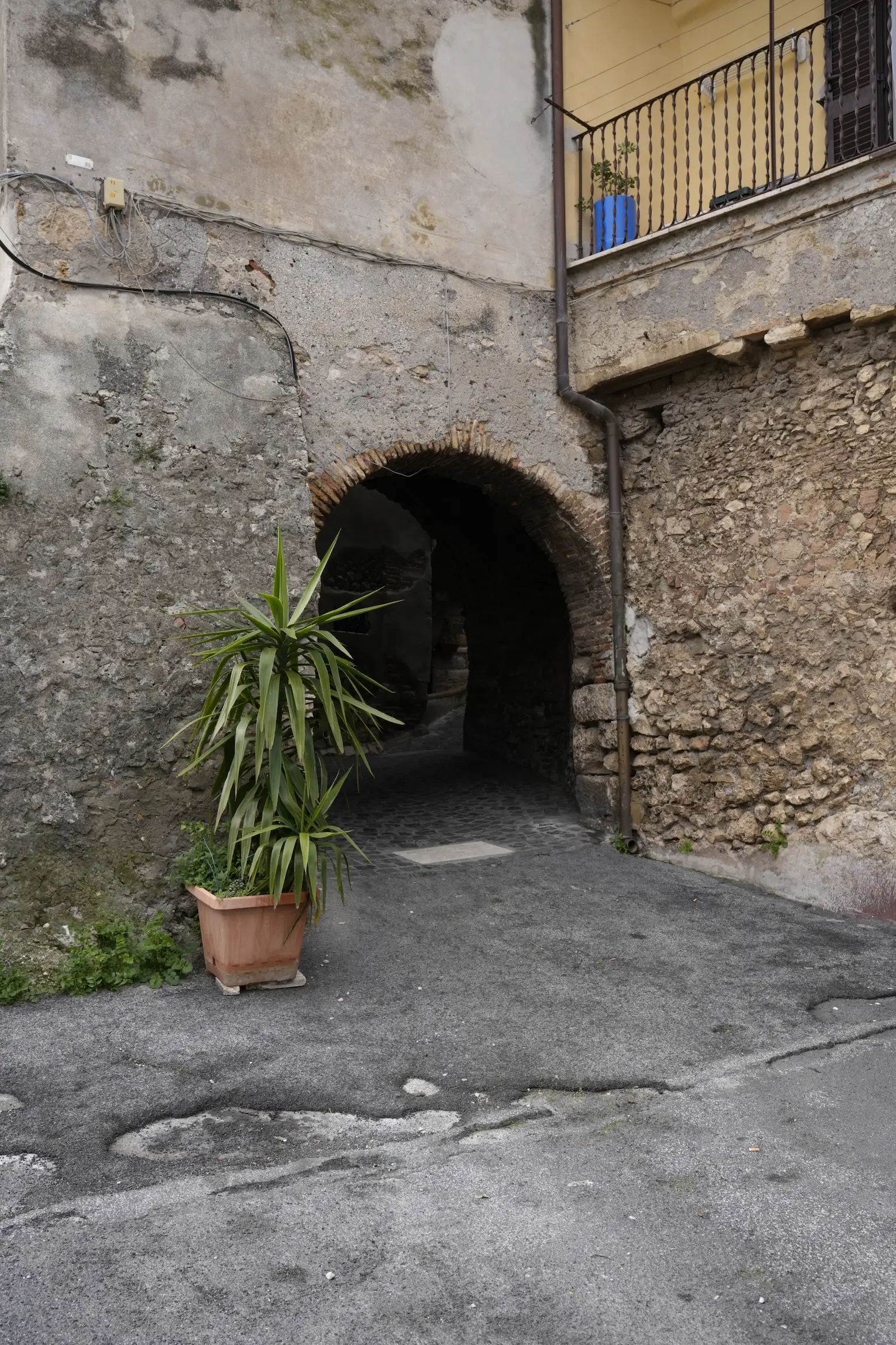 Dettaglio Porta Nuova